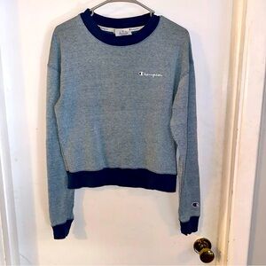 Champion Crewneck Sweatshirt Sweater Blue Stripe Lightweight Size S/M